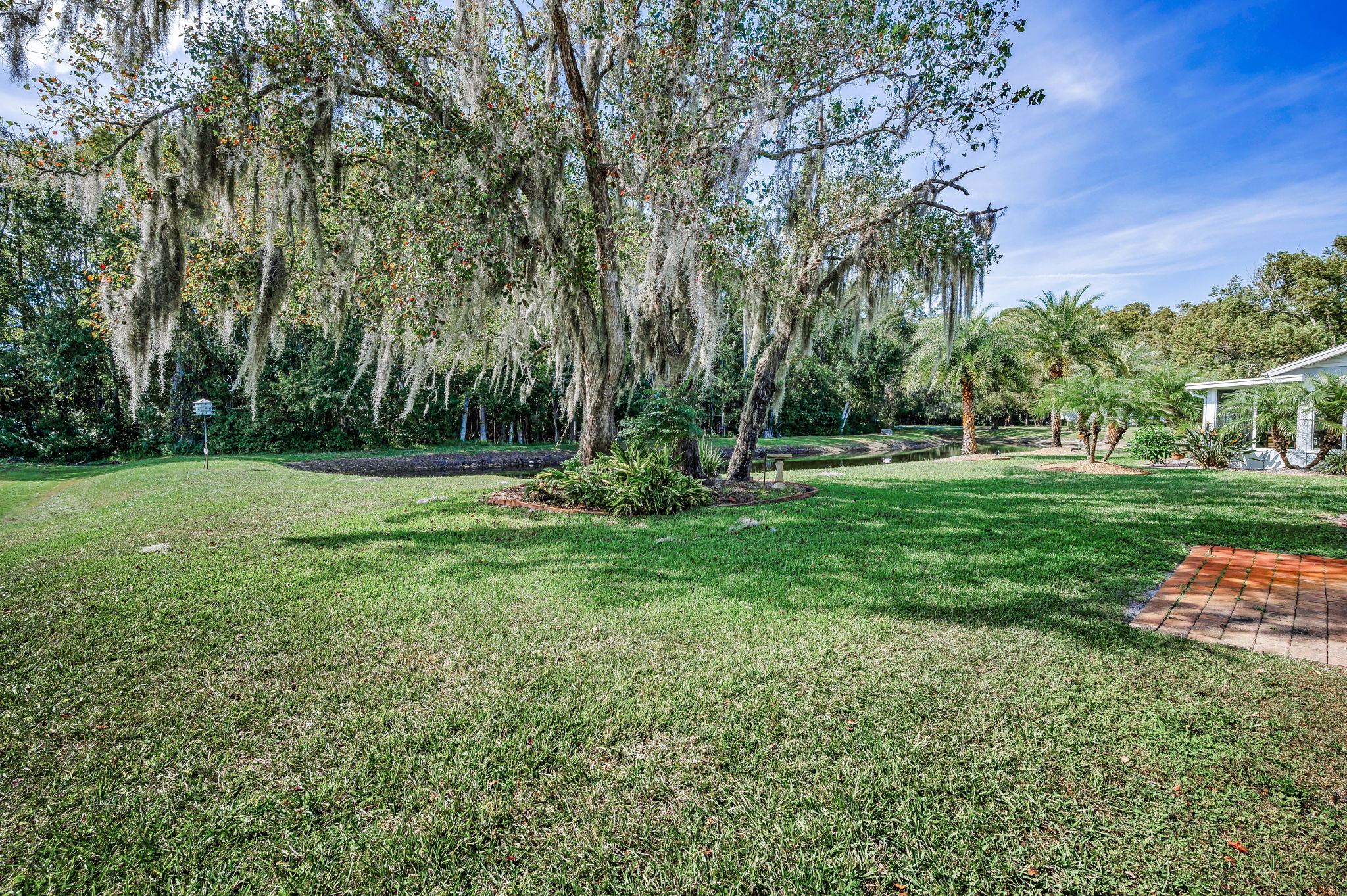 Backyard1