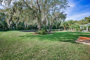 Backyard1