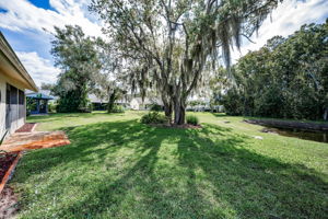 Backyard3