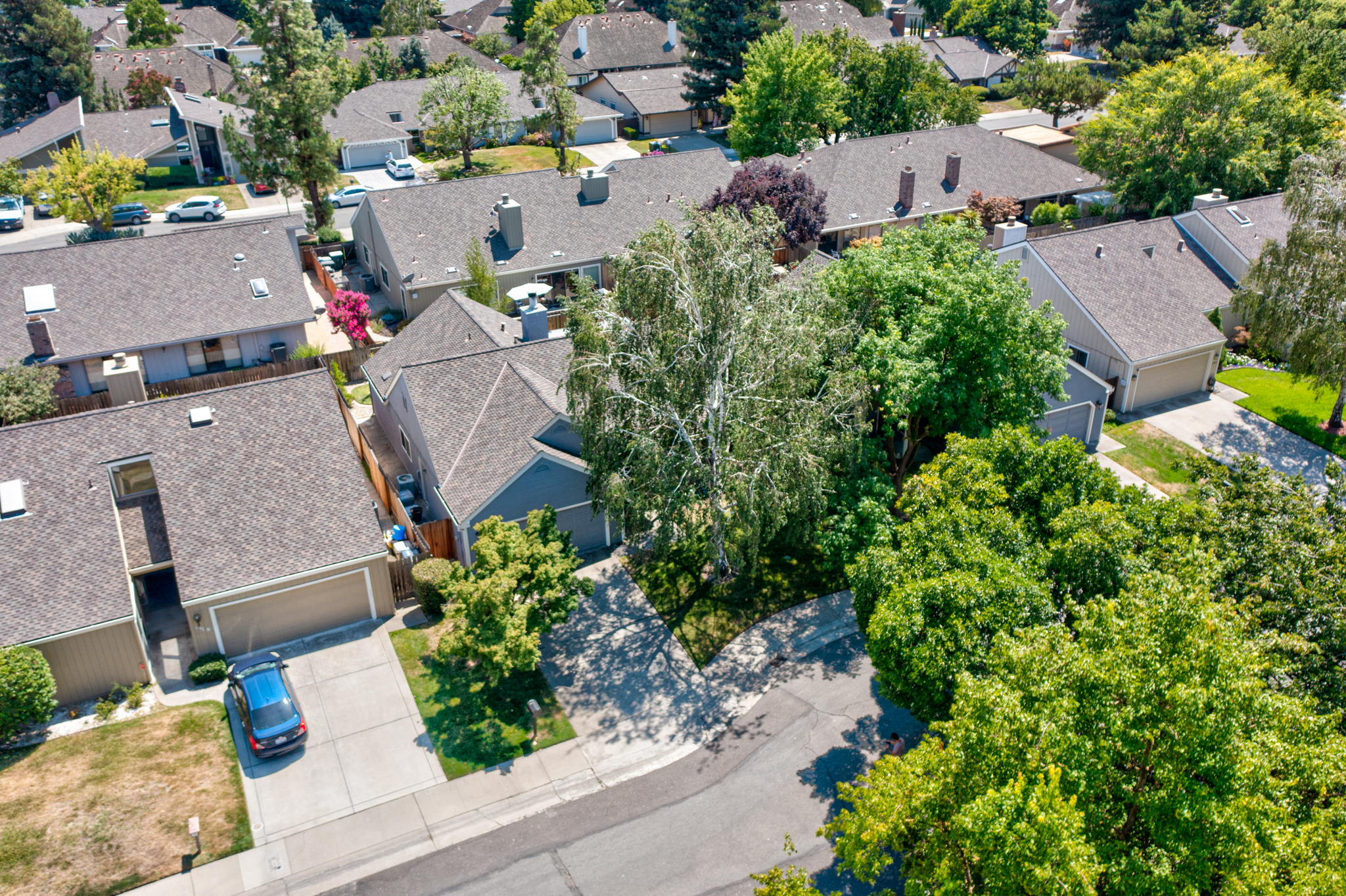 1172 Spruce Tree Cir, Sacramento, CA 95831, USA Photo 34