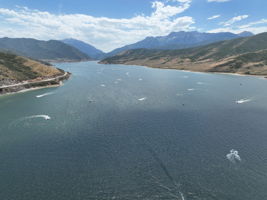  Photo 46