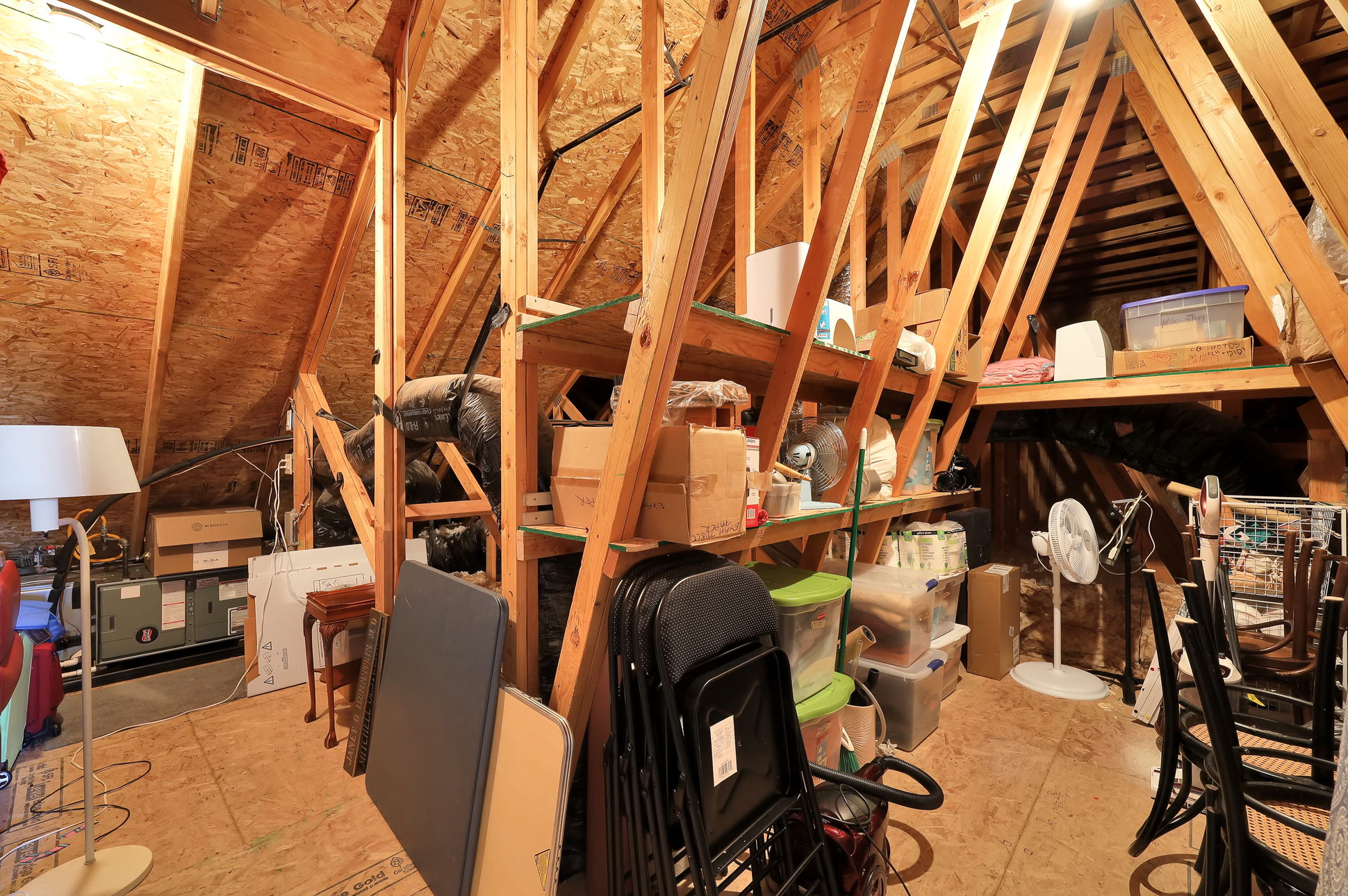  Photo 43