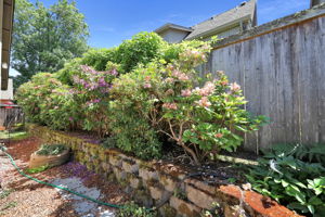  Photo 51