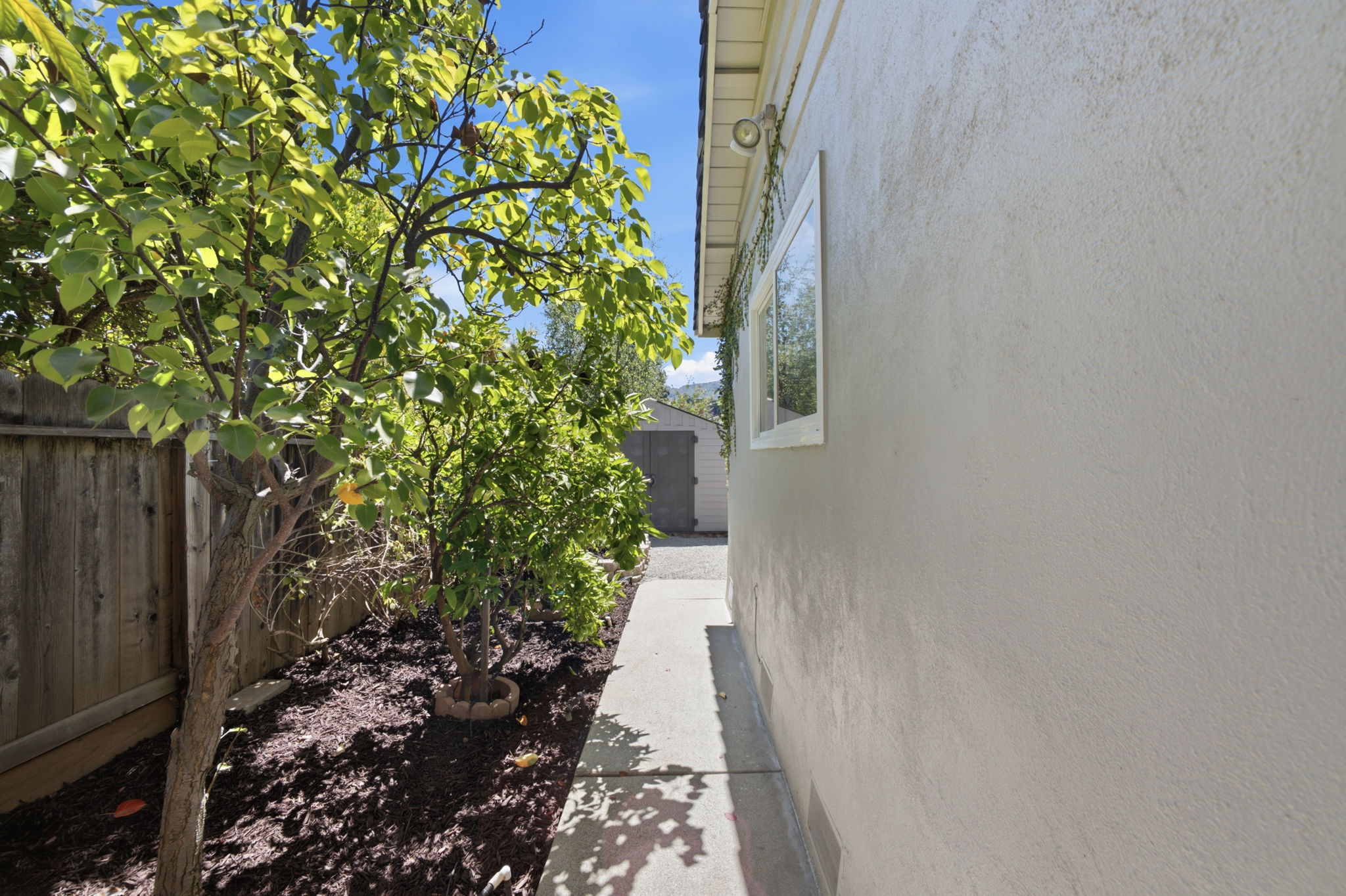  Photo 47
