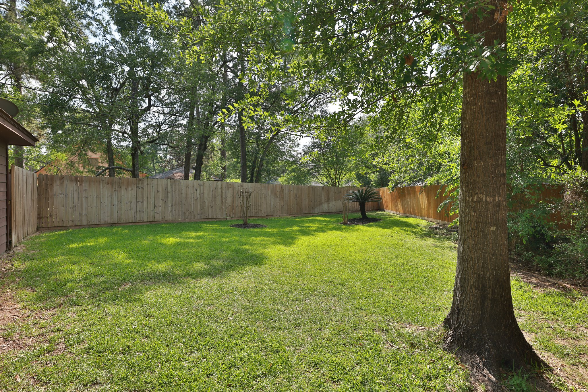  Photo 49