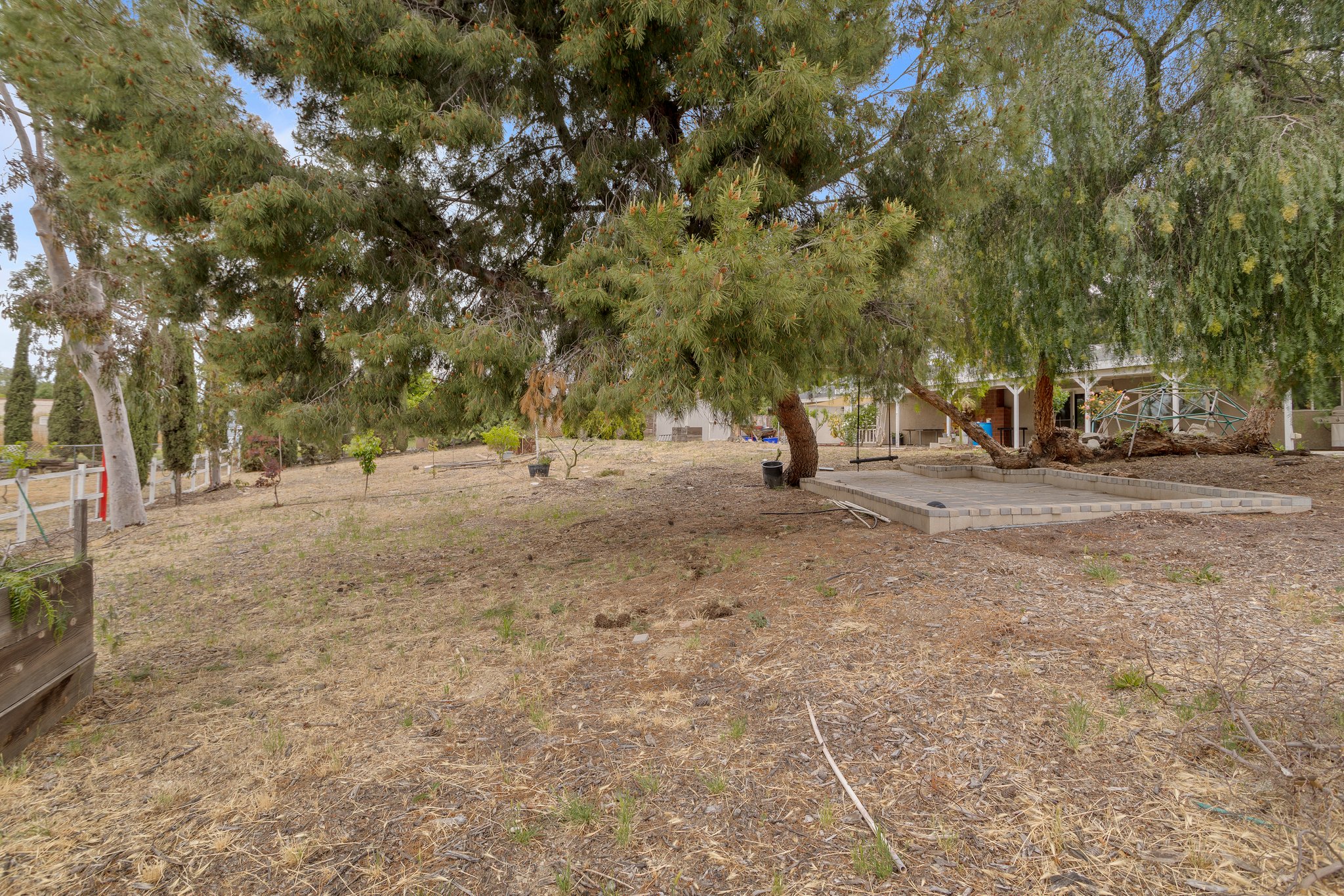  Photo 43