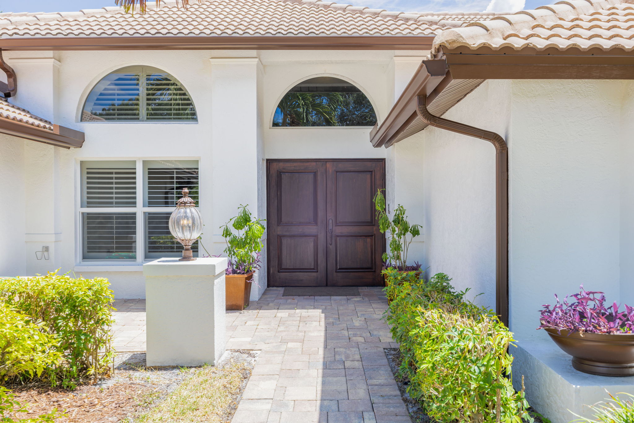 Mahogany Front Doors