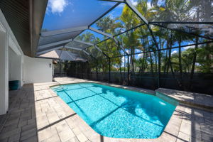 Pool and large screened lanai