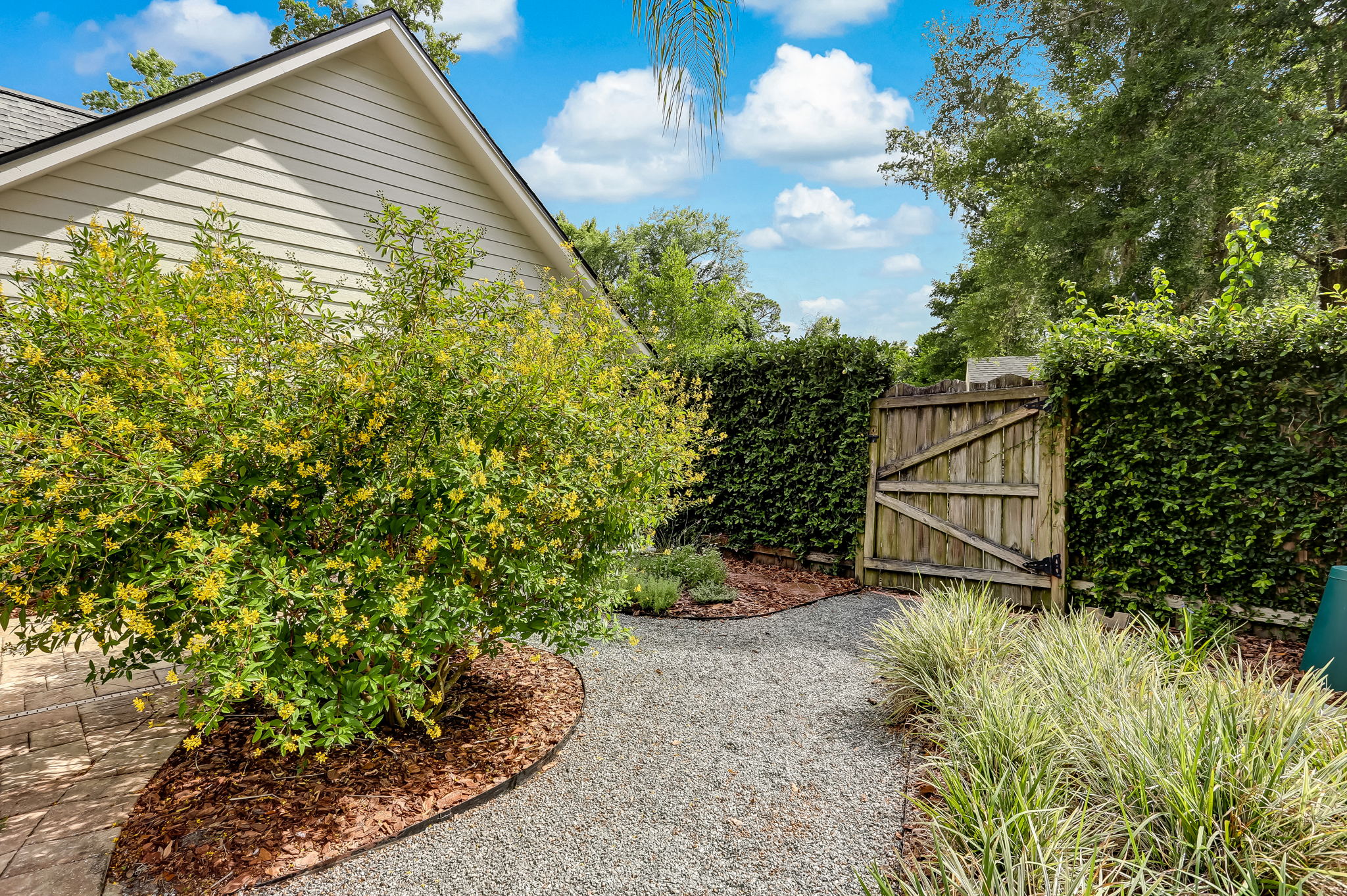 Side Yard