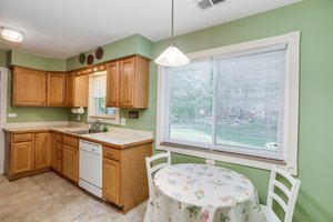  11750 Turkey Run, Plymouth, MI 48170, US Photo 9