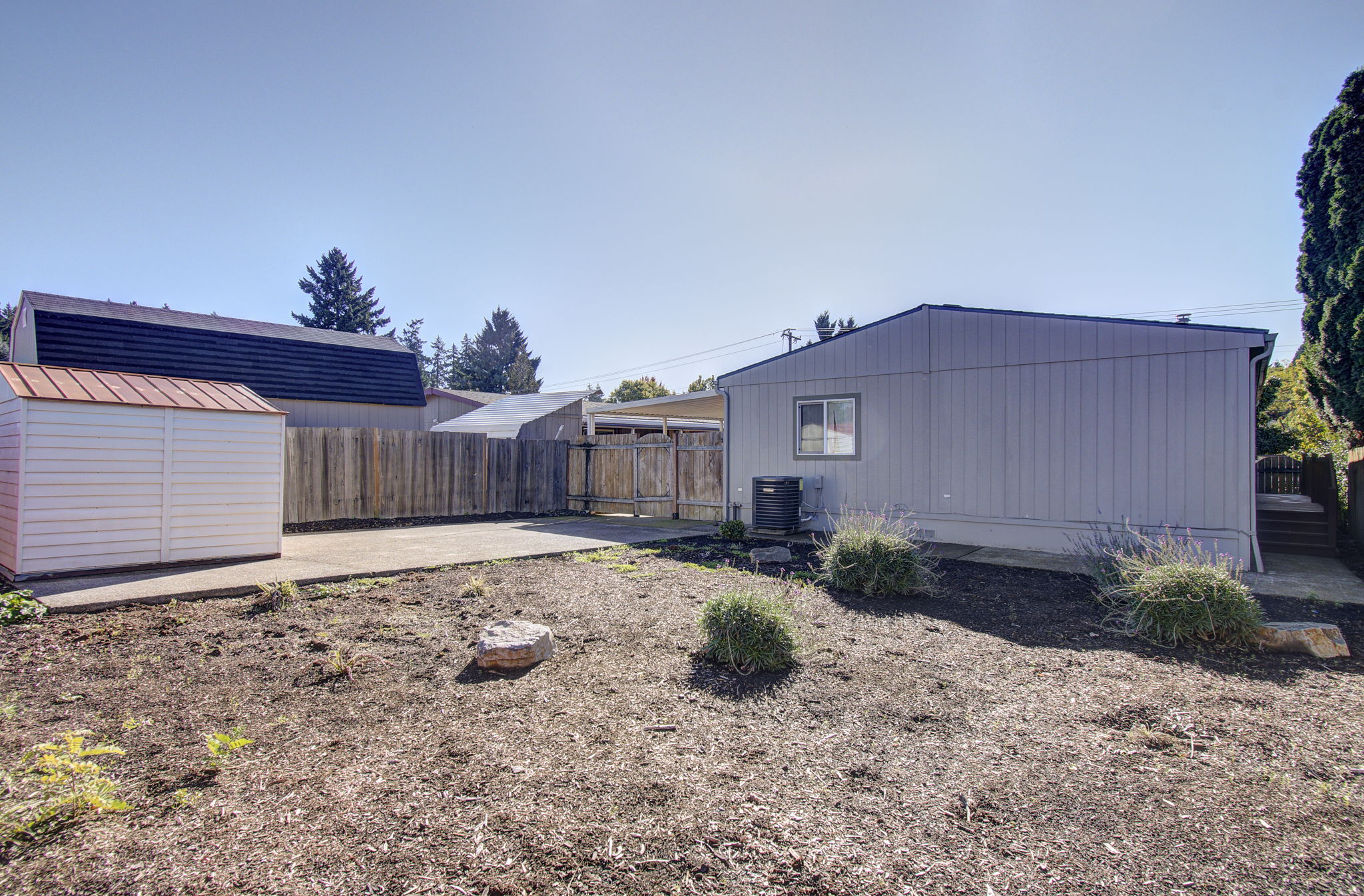 04 backyard 3
