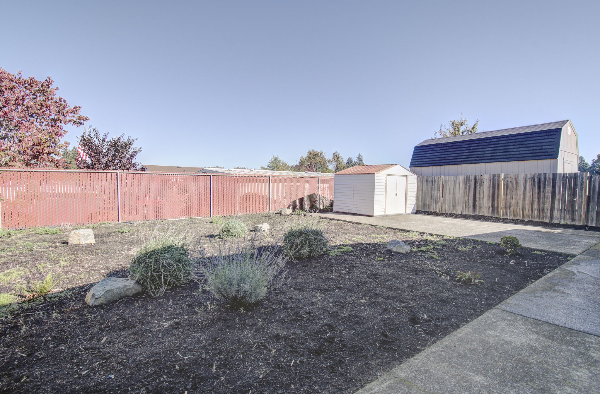 04 backyard 2