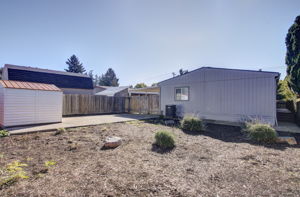 04 backyard 3