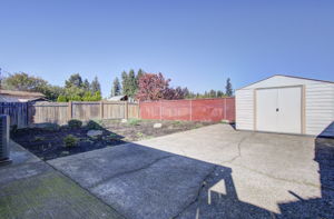 04 backyard