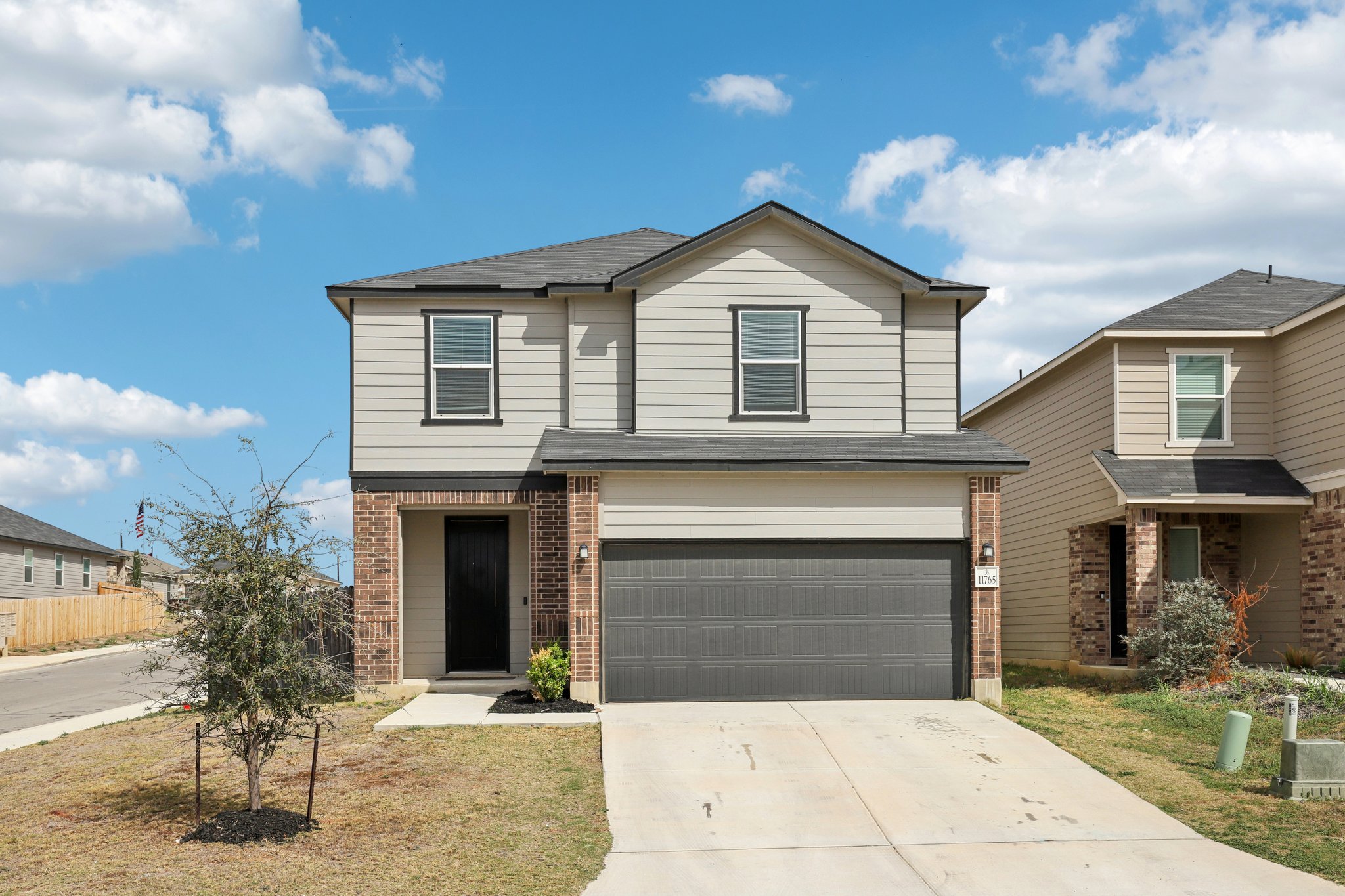 Red Pheasant-S0603-001.jpg