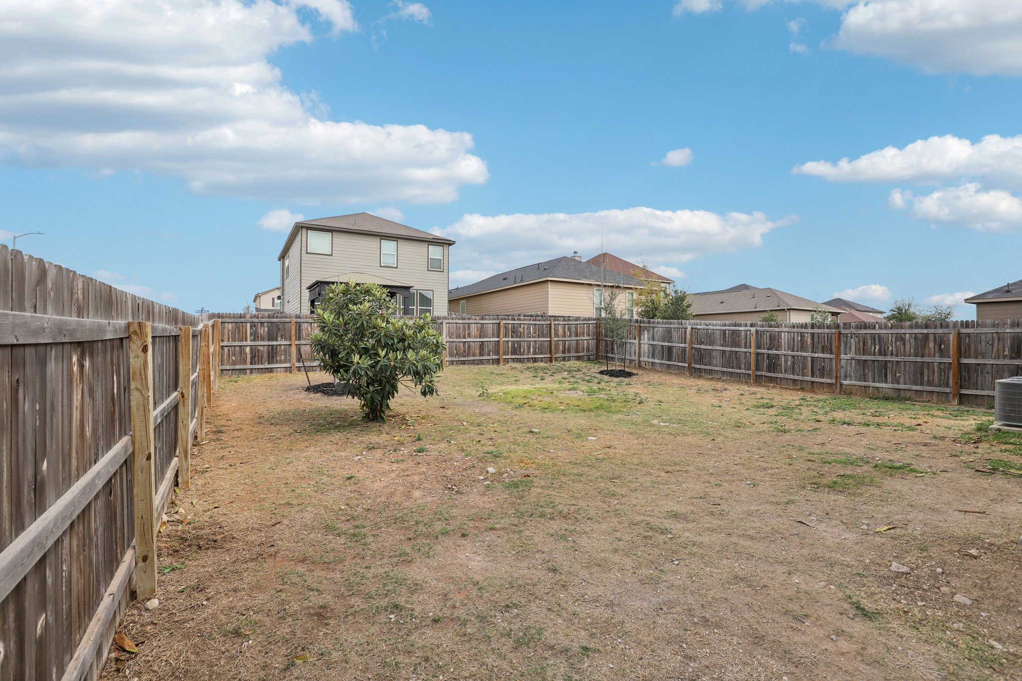 Red Pheasant-S0603-042.jpg