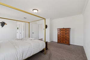 Red Pheasant-S0603-034.jpg