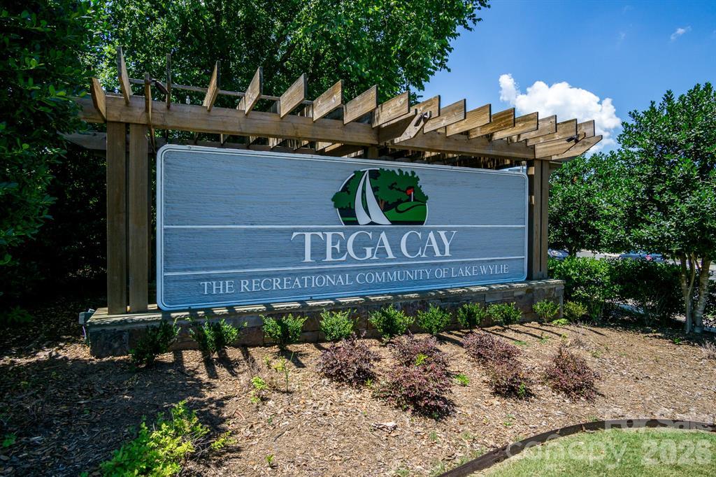 Tega Cay and All it Has to Offer!