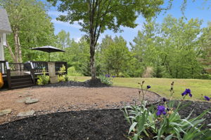 Private Back Yard
