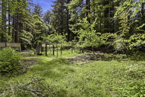 050_F8_11785 E Zayante Rd