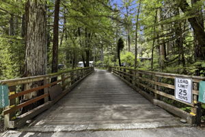 055_F8_11785 E Zayante Rd