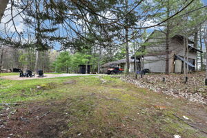  Photo 48