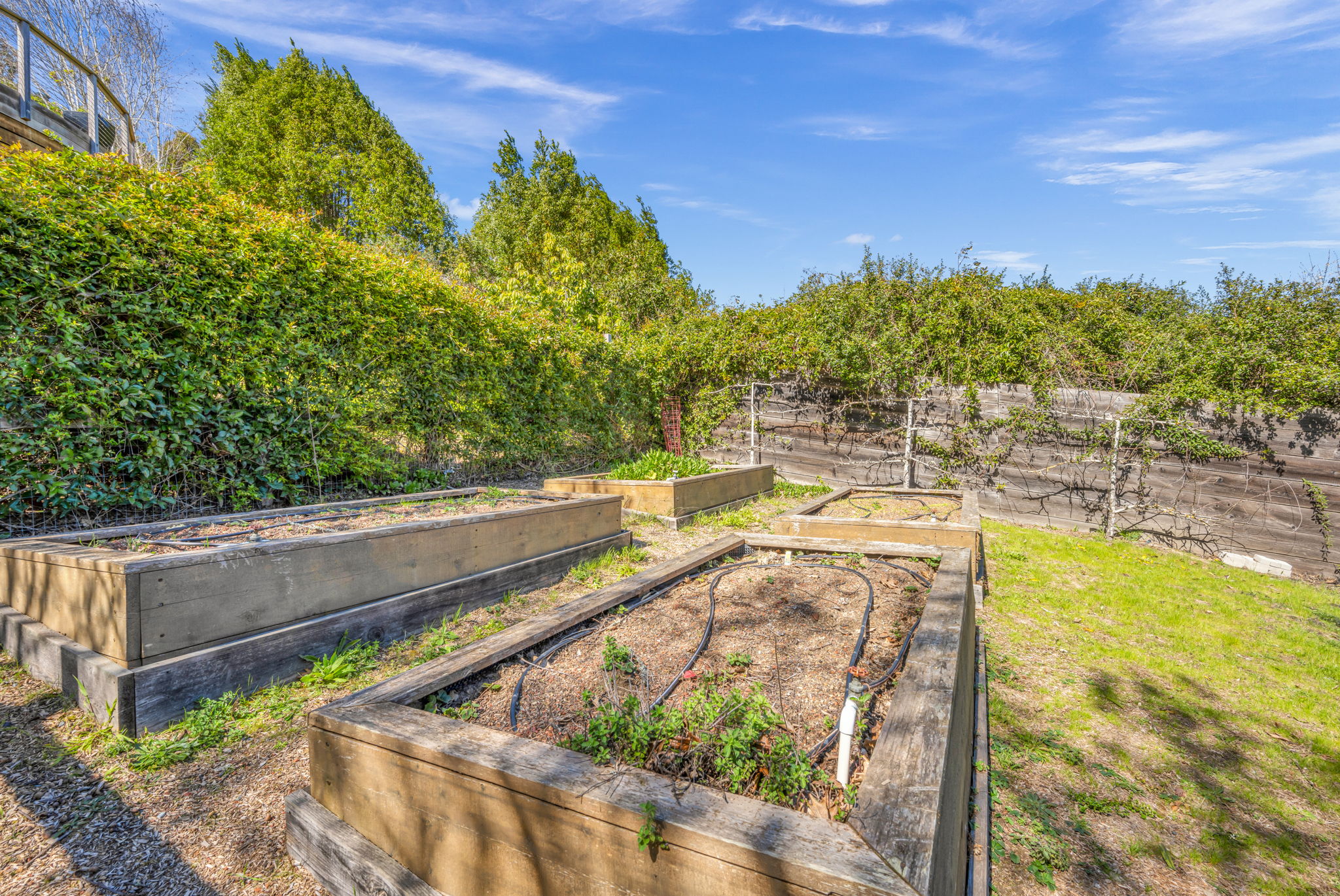 Raised garden beds at the guest house