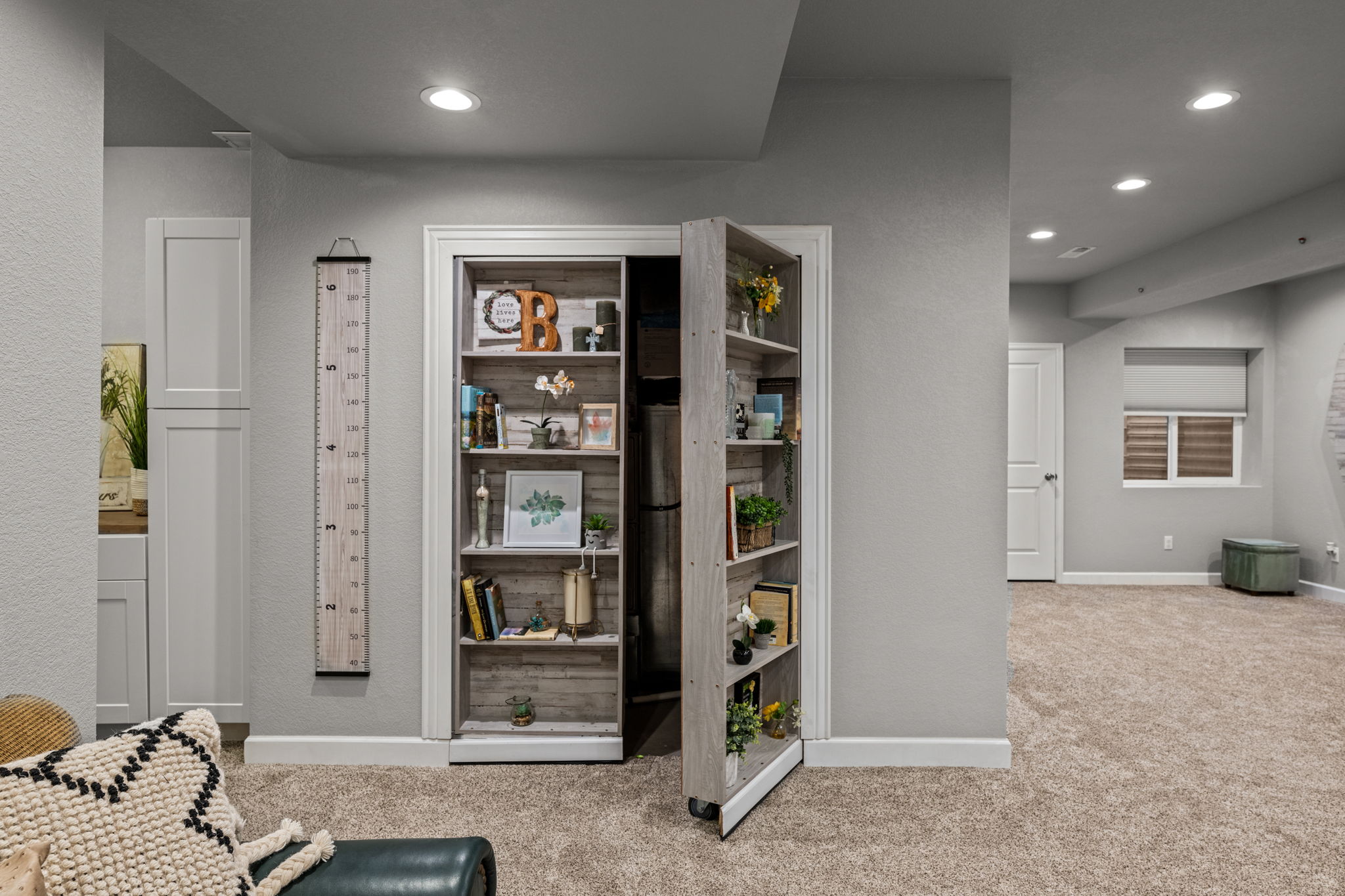 Lower Level Family Room