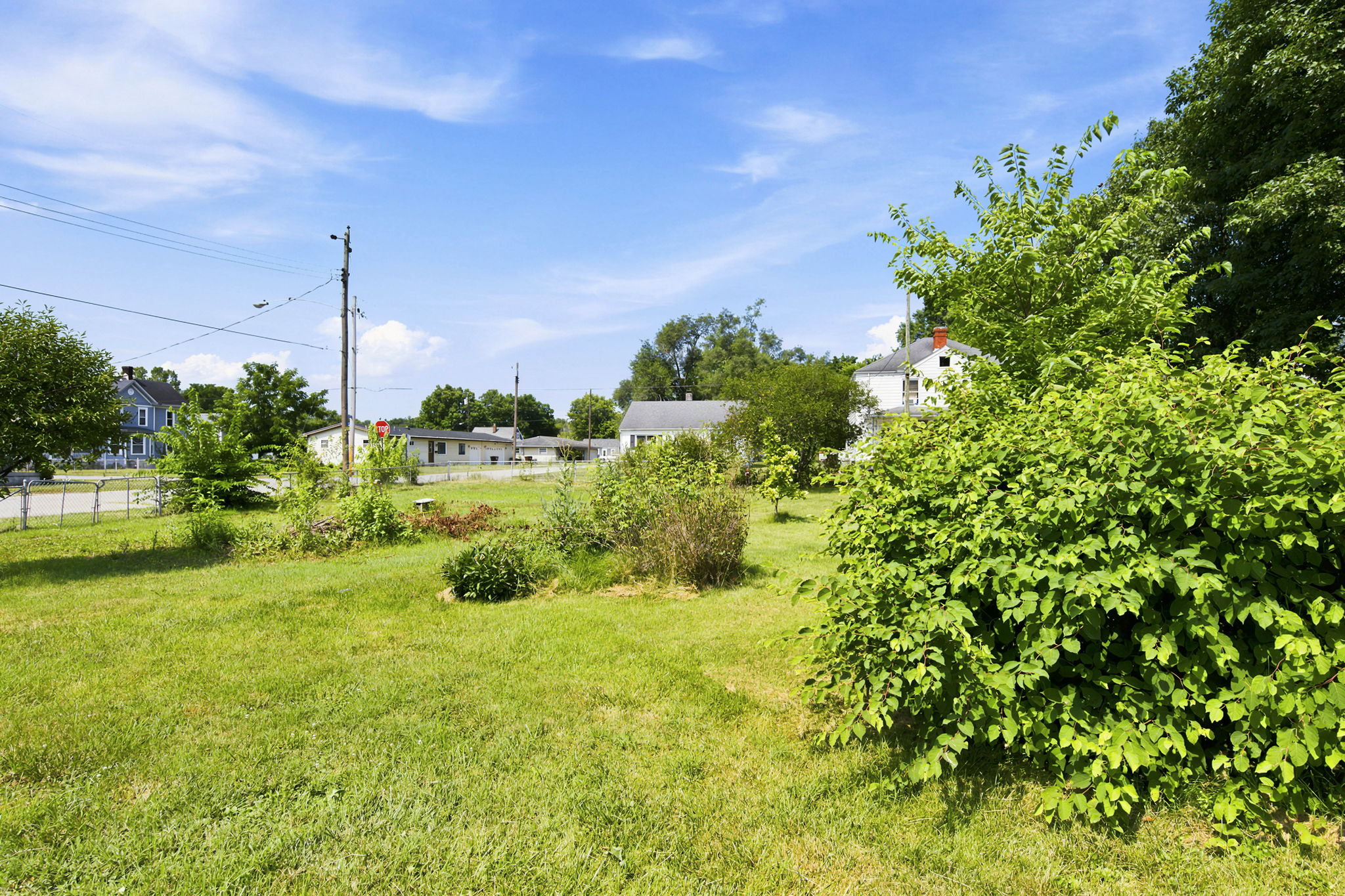  Photo 42