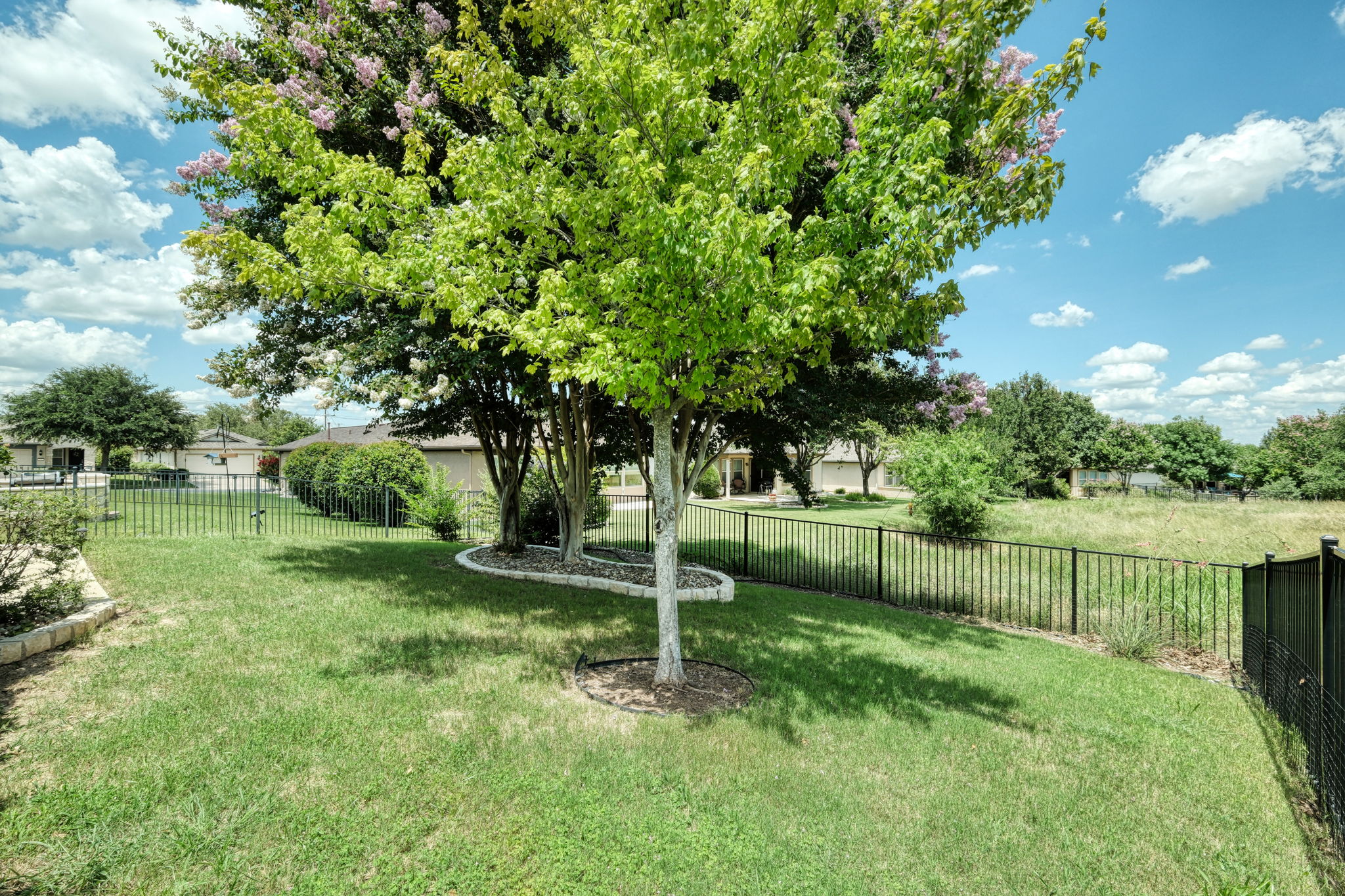 Back Yard/View