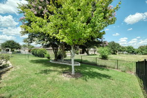 Back Yard/View