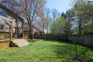  Photo 39
