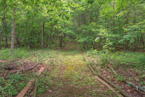  Photo 52