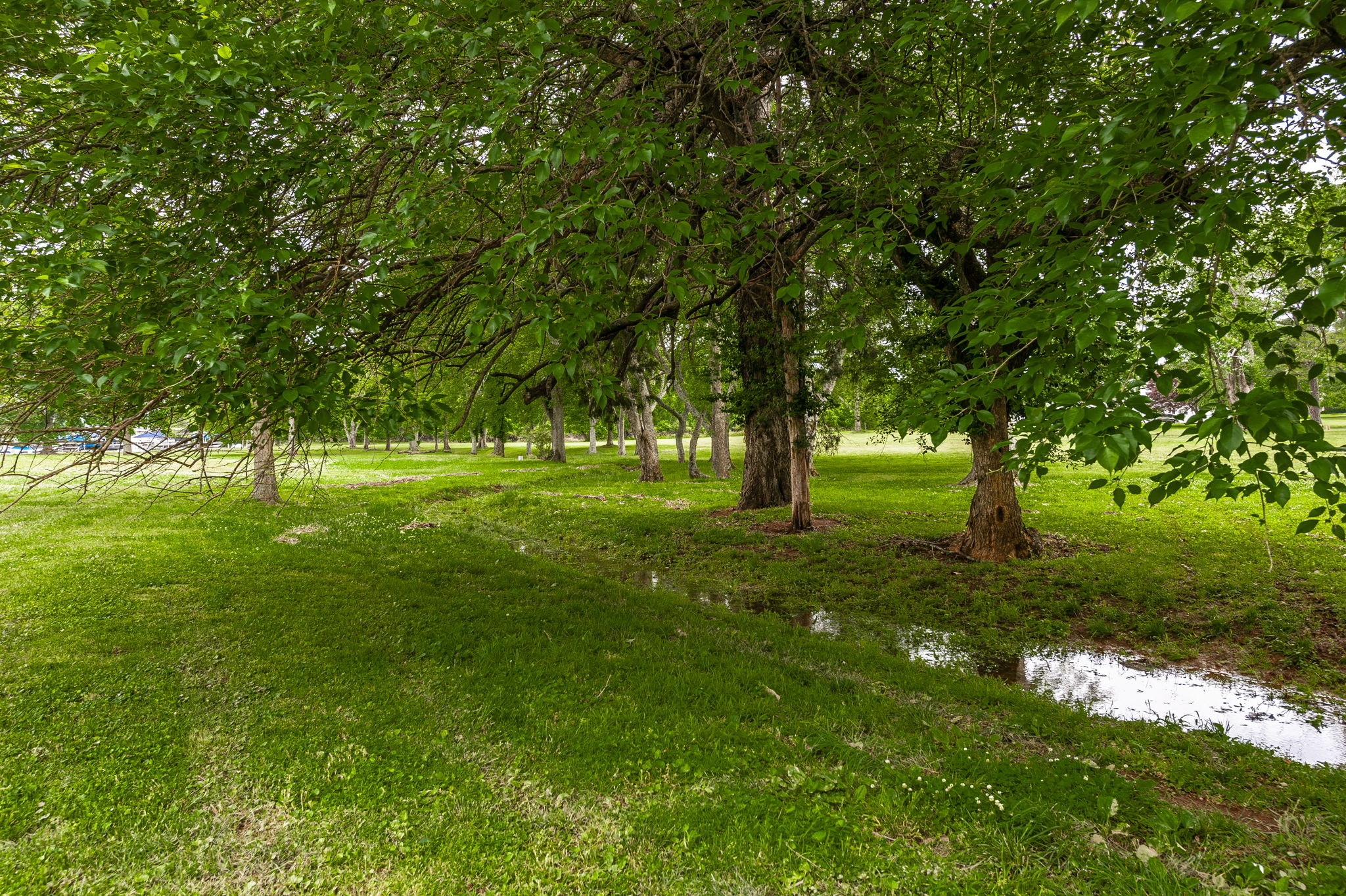  Photo 102