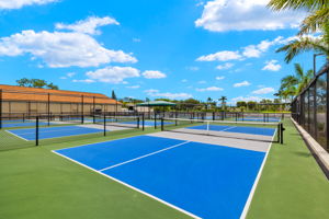 Pickleball Court