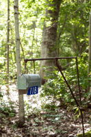  Photo 47