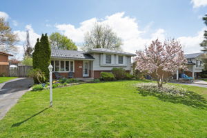  Photo 0