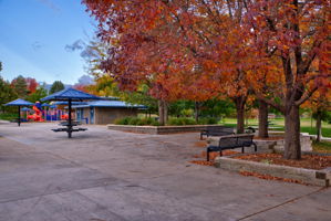  Photo 45