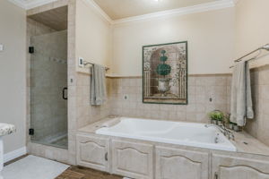 Master Bathroom-2