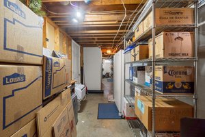 37 . Basement - storage.jpg