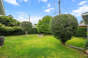  11809 Juniette Street-31