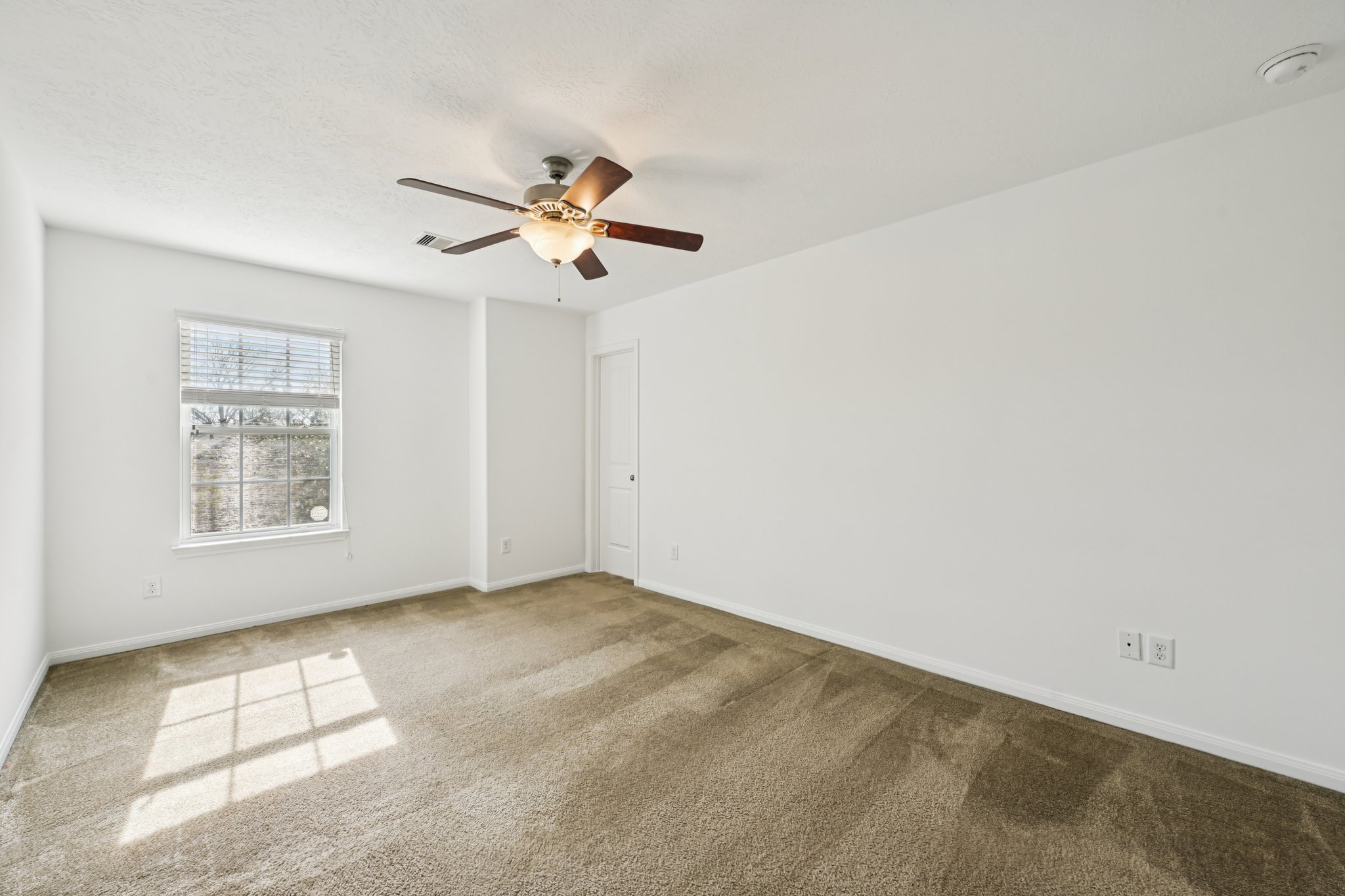 Red Hummingbird Dr-S1802-029.jpg