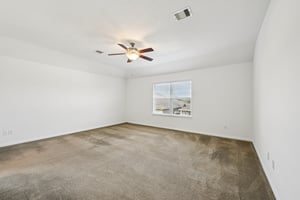 Red Hummingbird Dr-S1802-019.jpg