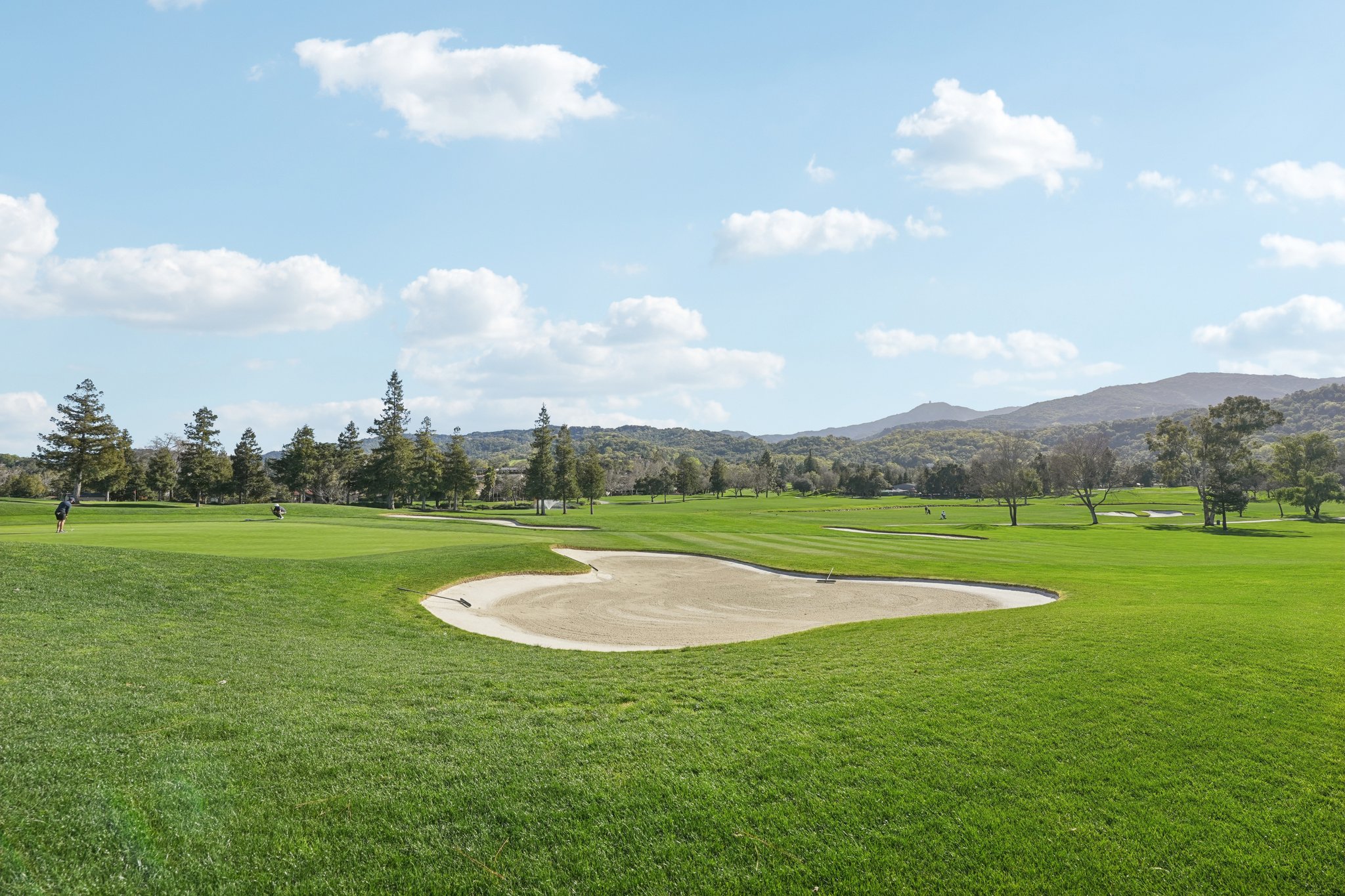 Olive Branch Ln-2302-905.jpg