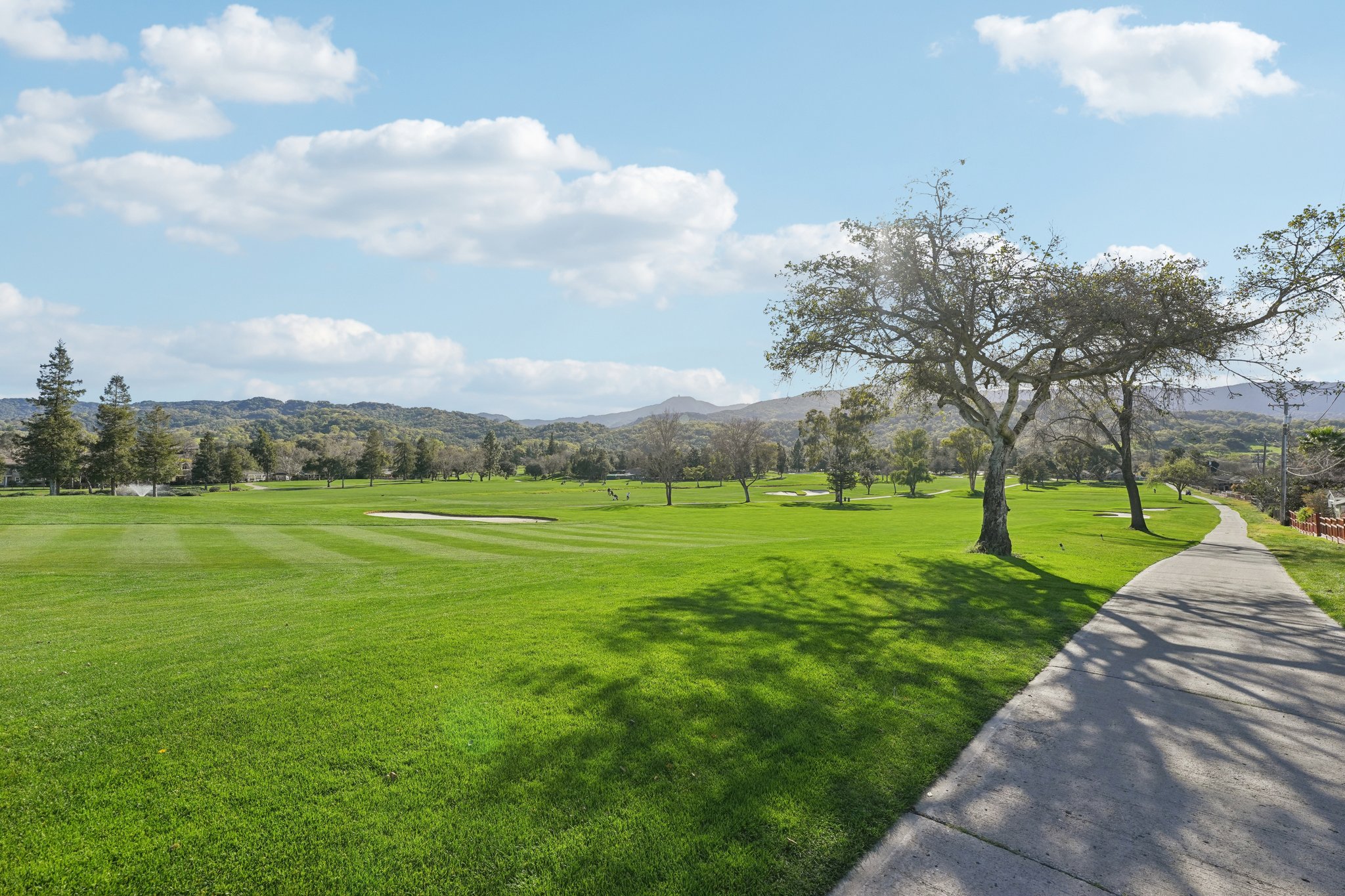 Olive Branch Ln-2302-906.jpg