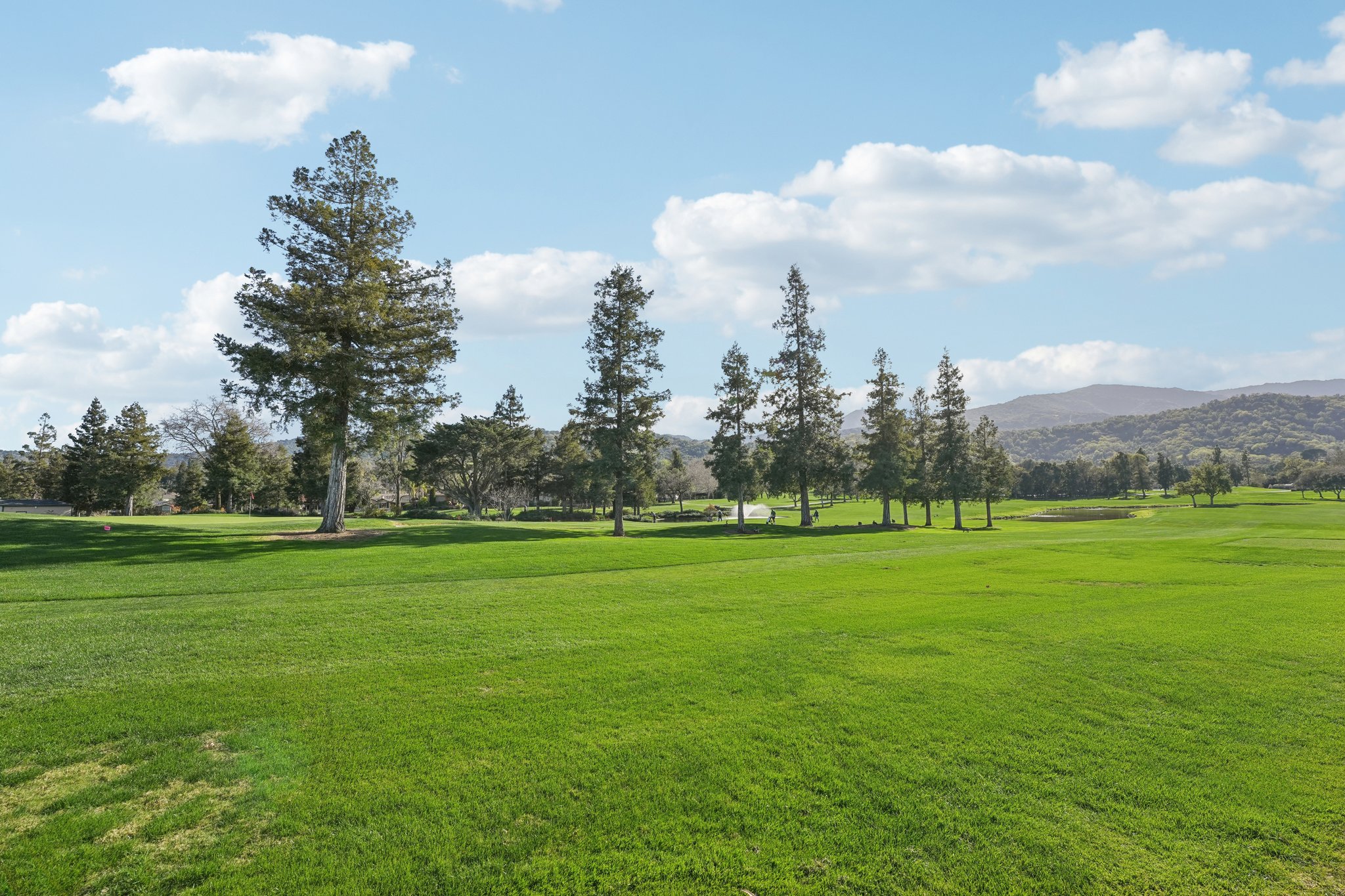 Olive Branch Ln-2302-907.jpg