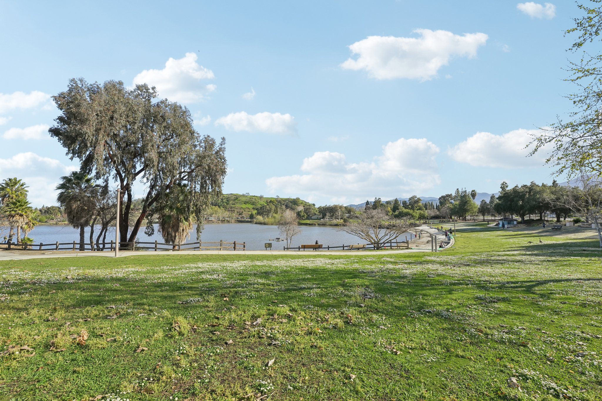 Olive Branch Ln-2302-910.jpg