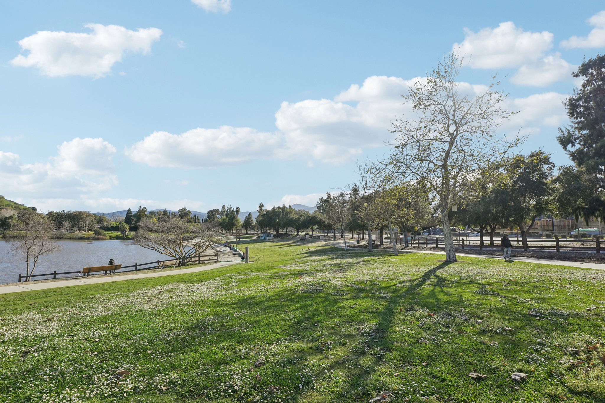 Olive Branch Ln-2302-911.jpg