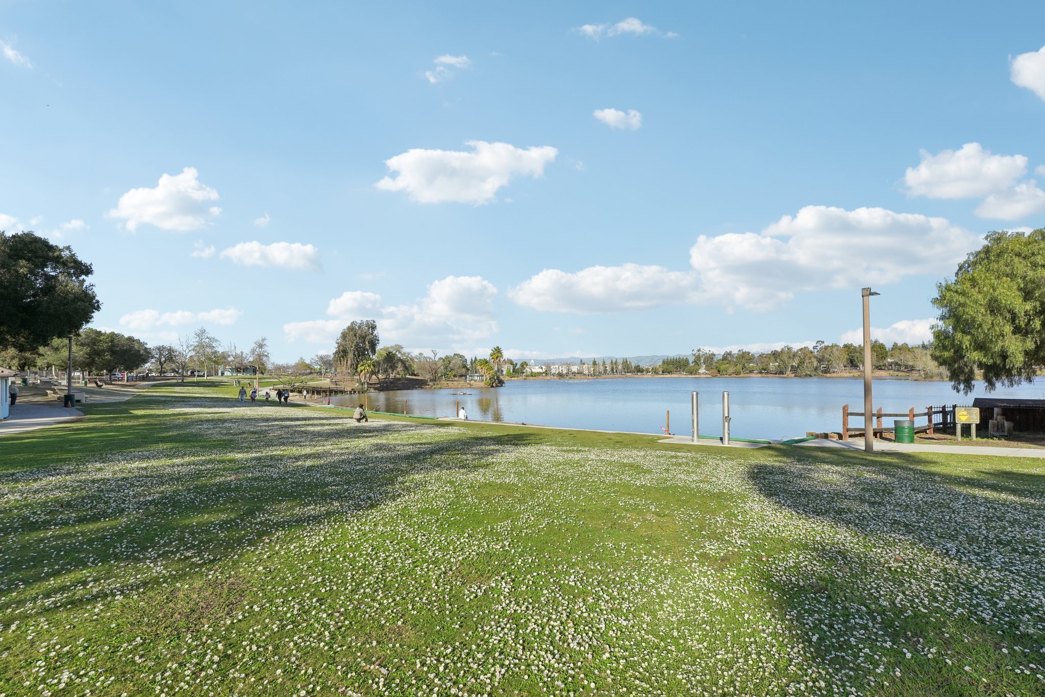 Olive Branch Ln-2302-917.jpg