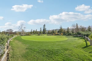 Olive Branch Ln-2302-903.jpg